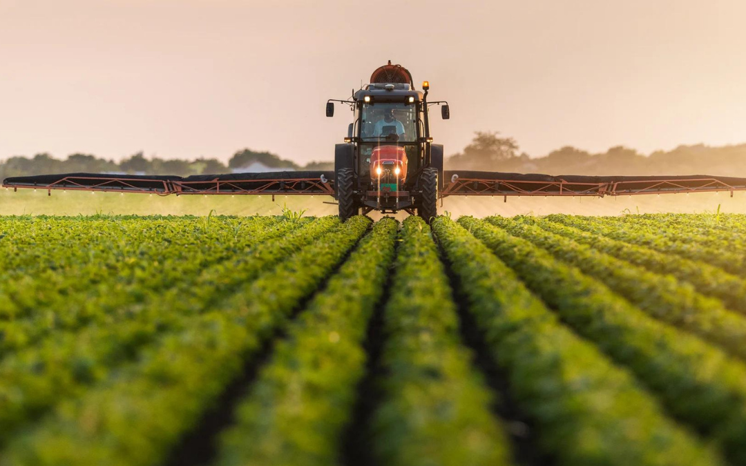 PIB deve crescer menos em 2025, aponta CNI