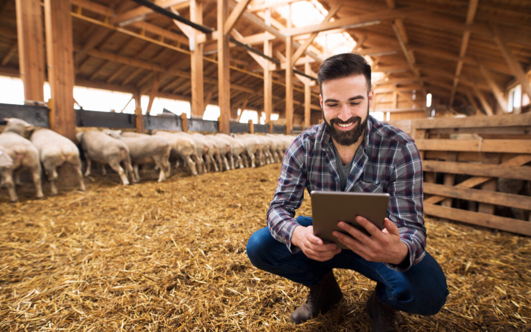 Agro alavanca crescimento do emprego no país