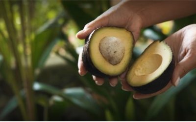 Diversidade de cultivo