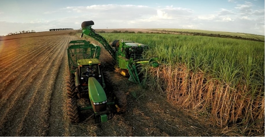 producao de acucar 01 producao de acucar 01