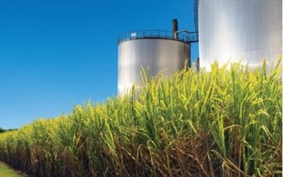 Ucrânia tem expectativa de produção de açucar de 1,1 mi t em 2022/23