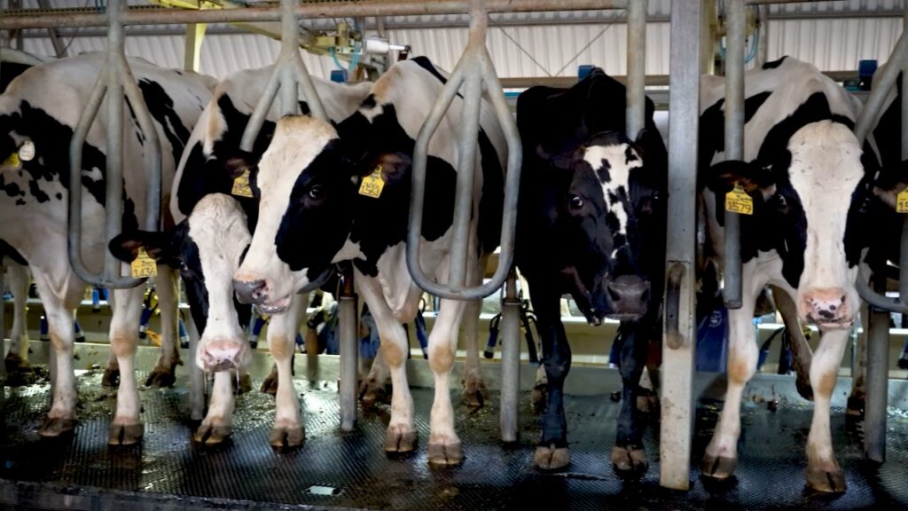 whatsapp image 2022 05 13 at 15.30.26 4 whatsapp image 2022 05 13 at 15.30.26 4