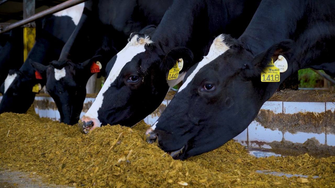 WhatsApp Image 2022-05-13 at 15.30.26 whatsapp image 2022 05 13 at 15.30.26