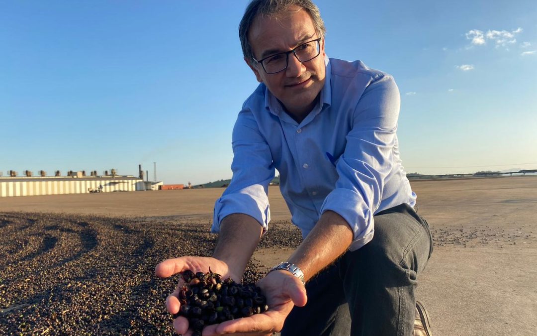 Fazenda se destaca na cafeicultura Sulmineira com 15 milhões de pés de café