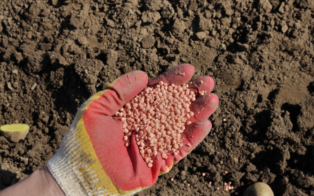 Crise dos fertilizantes: incerteza deixa produtores em alerta no Brasil