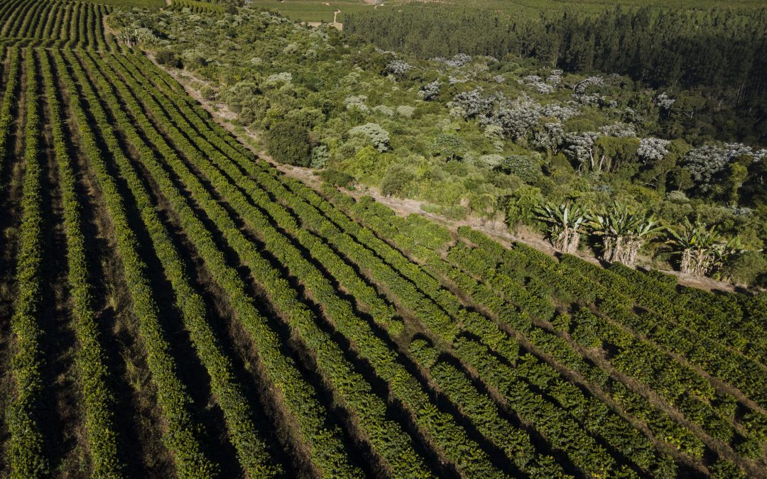 Resolução do CMN entrou em vigor dia 1º de julho