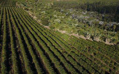 Resolução do CMN entrou em vigor dia 1º de julho