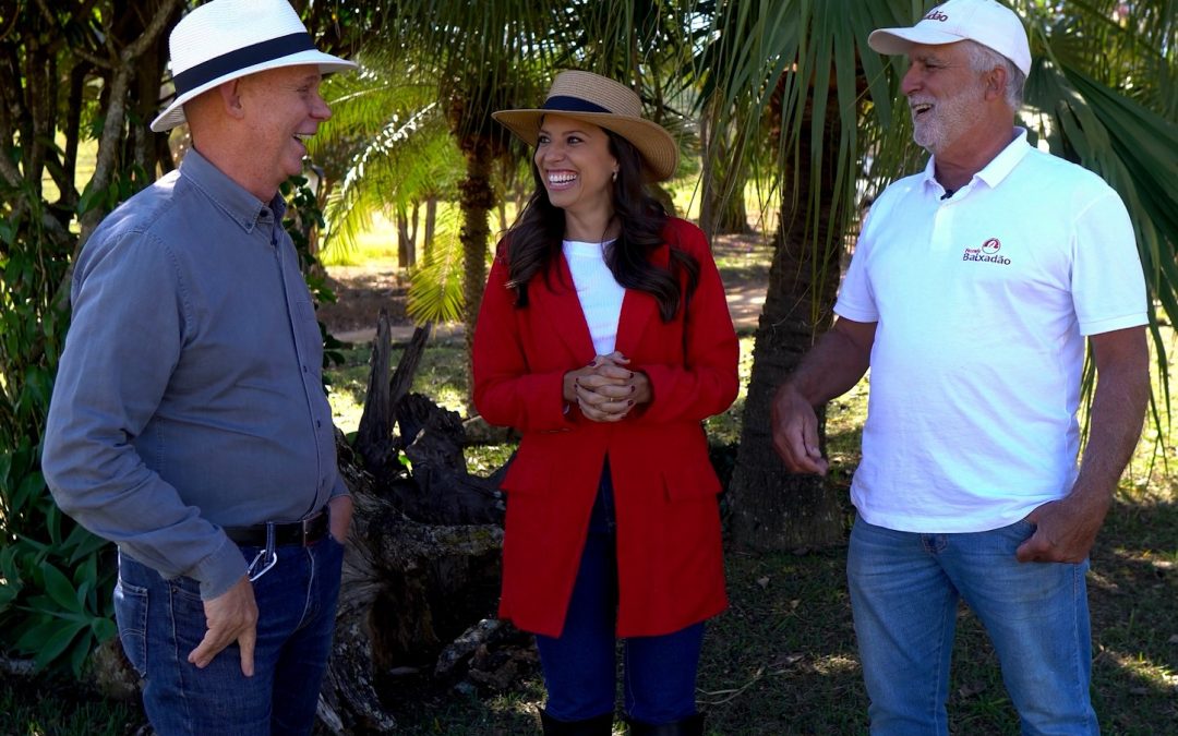 Os segredos da pós-colheita do café