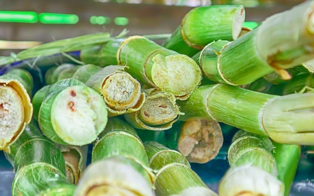 Centro-Sul: moagem de cana-de-açucar chega a 27,1% em maio.