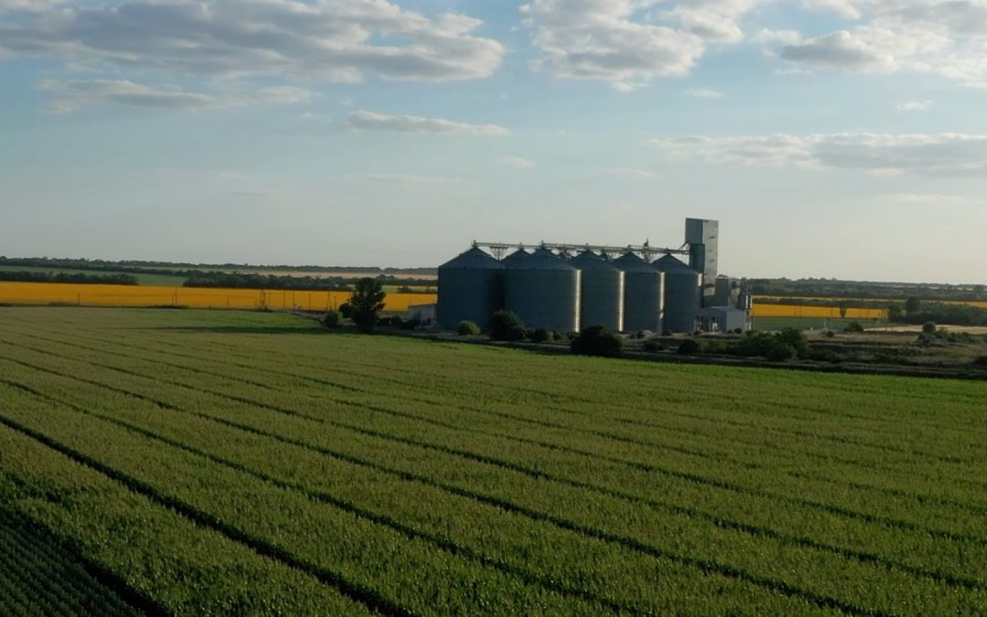 Safra de milho: alta dos preços é provocada pela guerra da Rússia contra Ucrânia