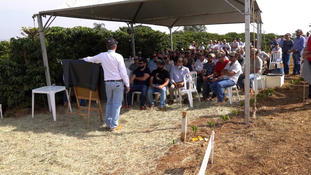 procafe 05 procafe 05