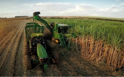 Conab prevê crescimento da produção de cana-de-açúcar
