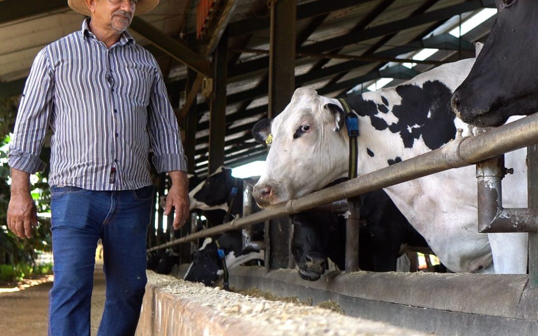 produtor scaled e1654264460896