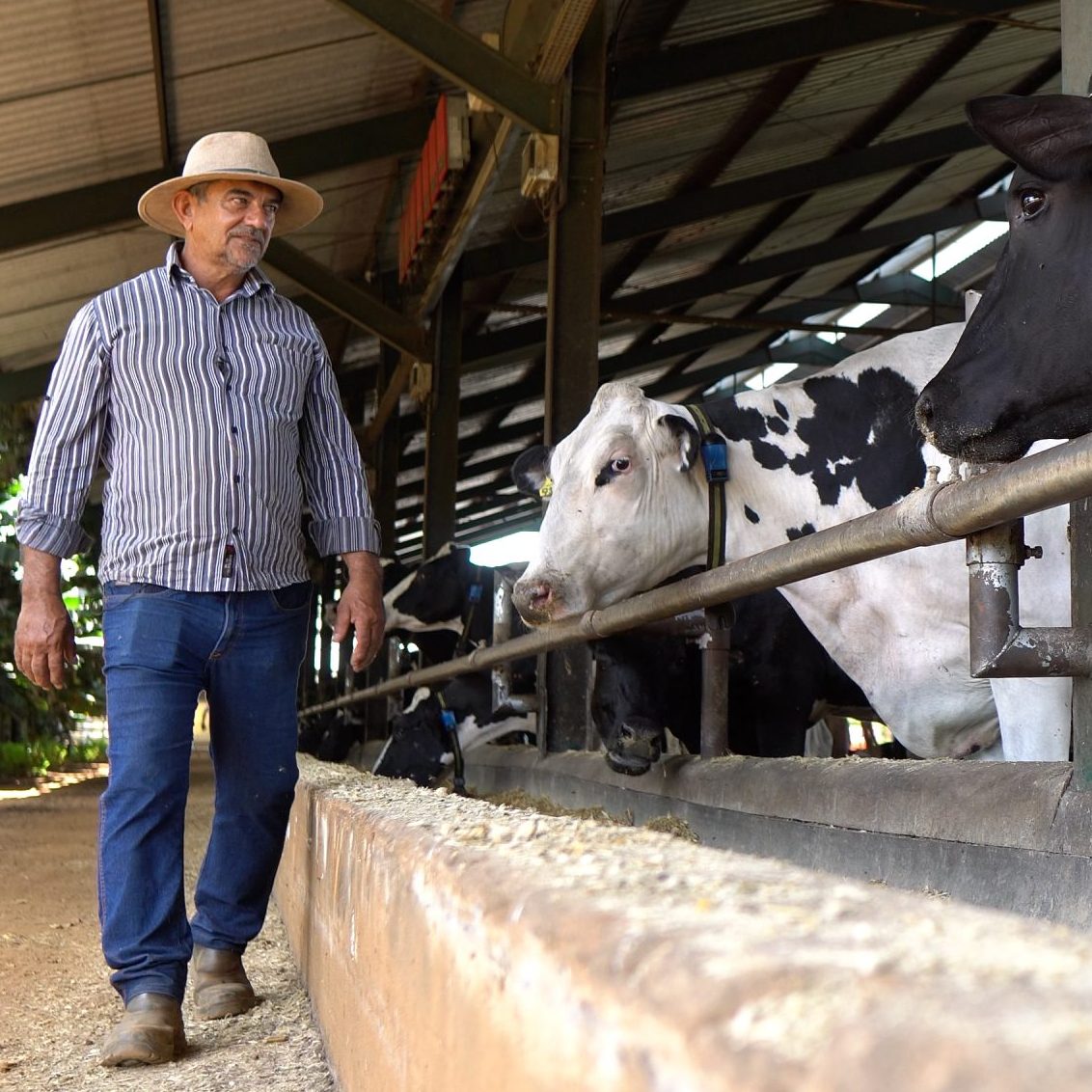 produtor scaled e1654264460896