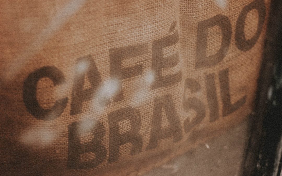 Podcast reúne especialistas para uma análise sobre a safra de café 2021/2022