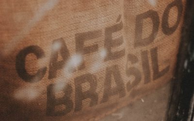 Podcast reúne especialistas para uma análise sobre a safra de café 2021/2022
