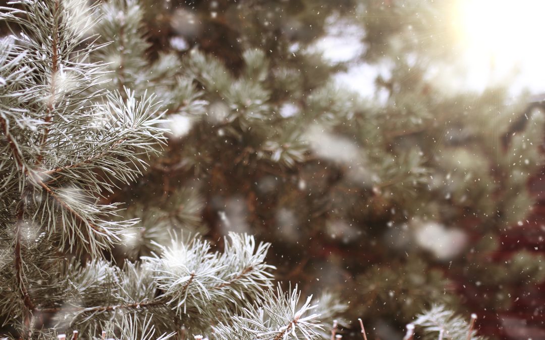 Frente fria se aproxima do Brasil