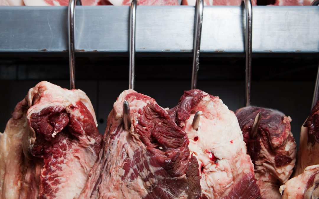 Carne bovina: Brasil mantém ranking e exportação em maio ultrapassa US$ 1 bilhão