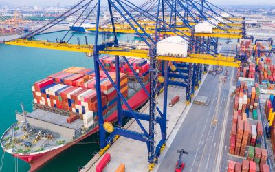 Exportação do agronegócio brasileiro bate recordes no mês de maio
