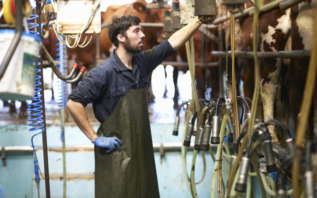 Acontece em julho primeiro Fórum Nacional do Leite promovido pela ABRALEITE