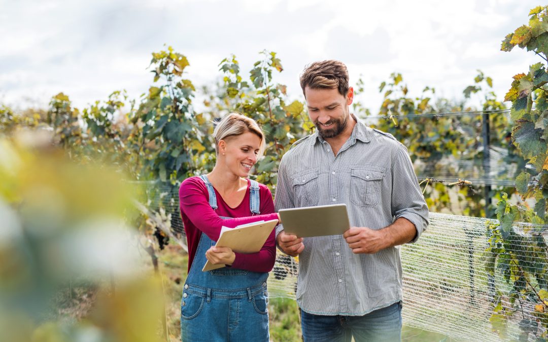 Embrapa lança aplicativo que disponibiliza pesquisas aos produtores rurais