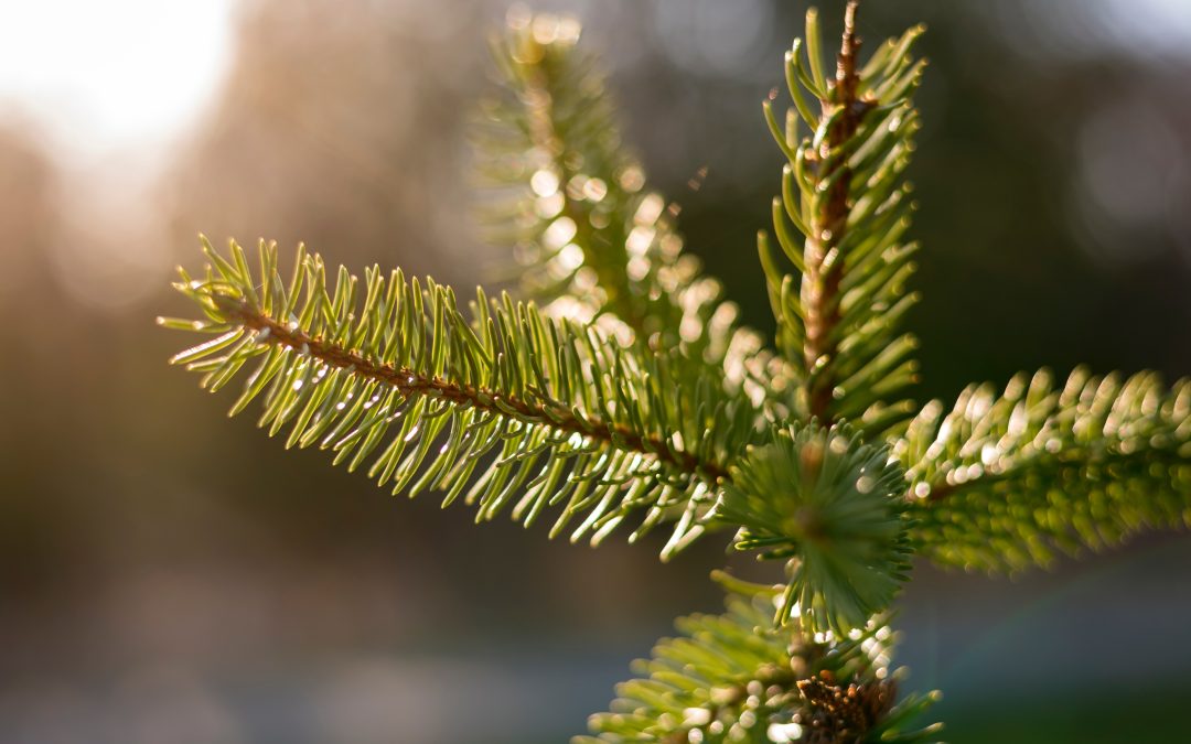 Previsão do tempo: final de semana promete sol em grande parte do país.