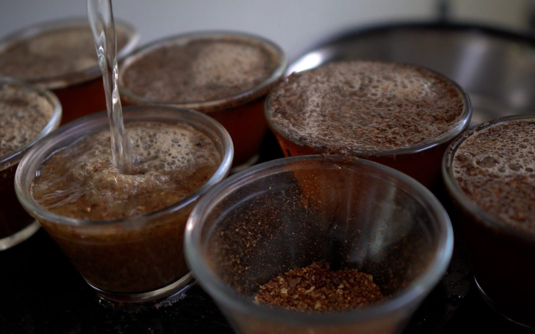 Prêmio Qualidade do Café terá a segunda edição em Santa Tereza (ES)