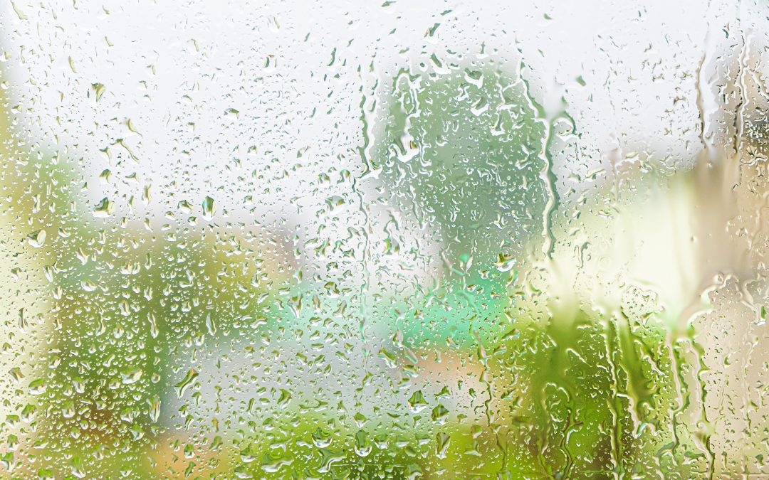 Quinta-feira será de chuva em grande parte do Brasil