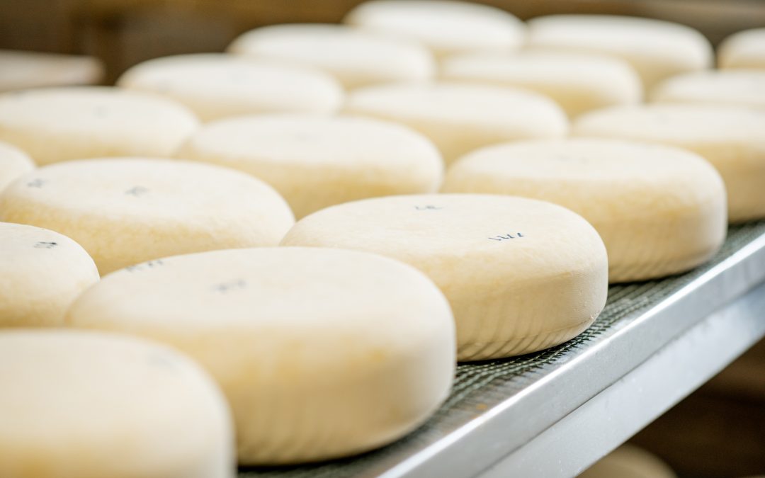 Queijo da Serra da Canastra ocupa o primeiro lugar em ranking mundial