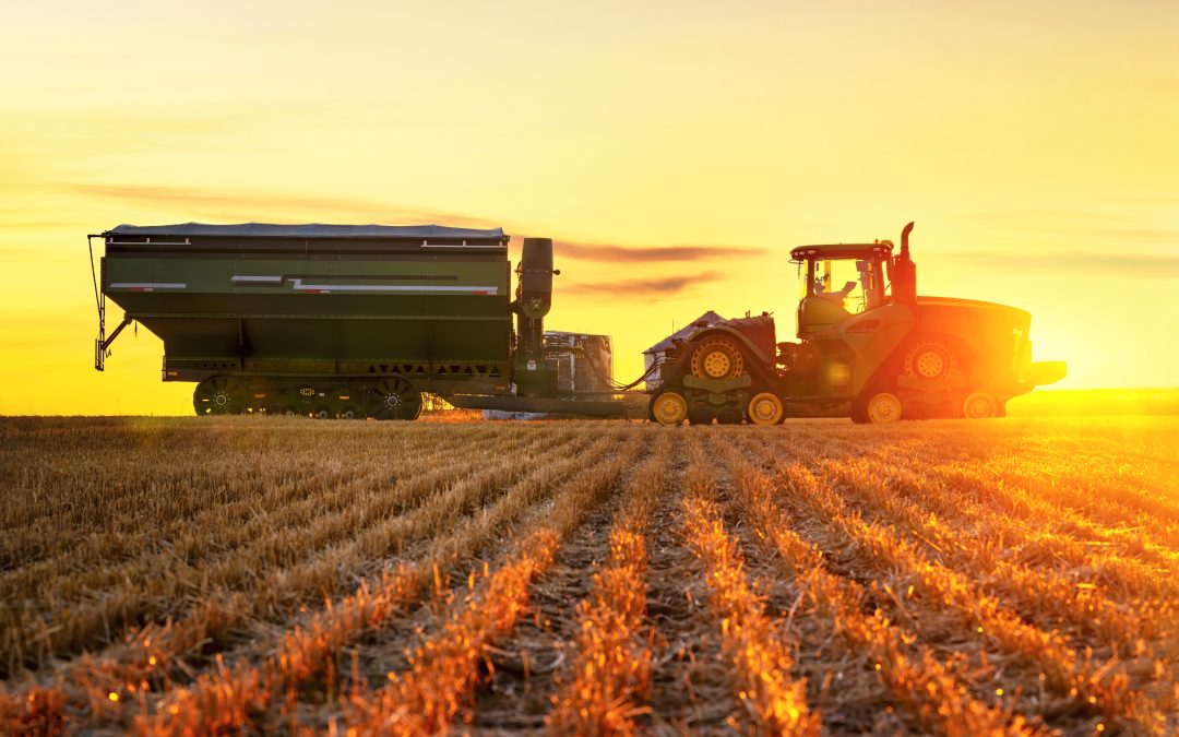 Governo Federal libera financiamentos do Plano Safra 2021/22