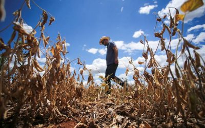 Projeção do La Niña fortalece seca e pode impactar áreas de grãos e café