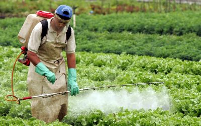 MAPA registra 46 novos defensivos agrícolas, sendo sete biológicos