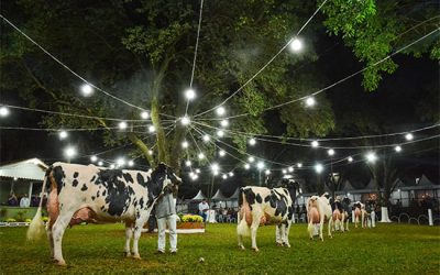 Expoleite 2022: a tradicional feira da pecuária será no Paraná