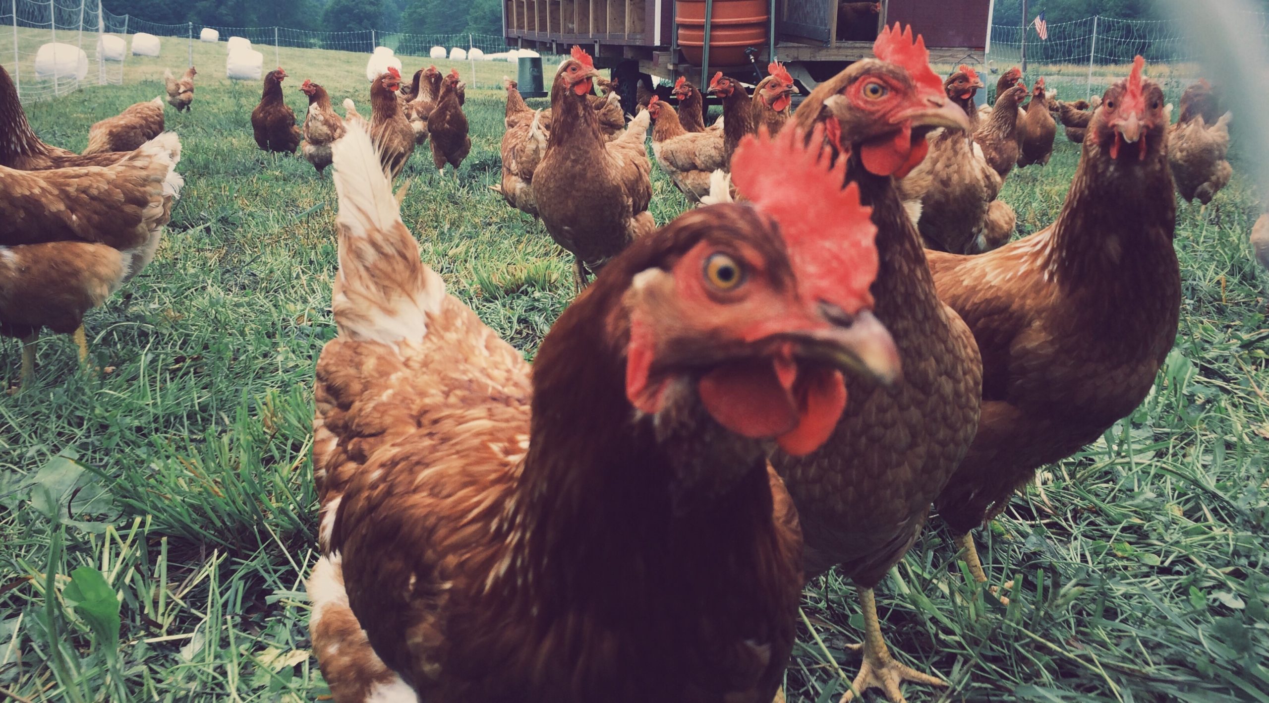 Processed with VSCO with g3 preset