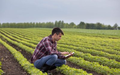 Estimativas de clima preocupa agronegócio brasileiro