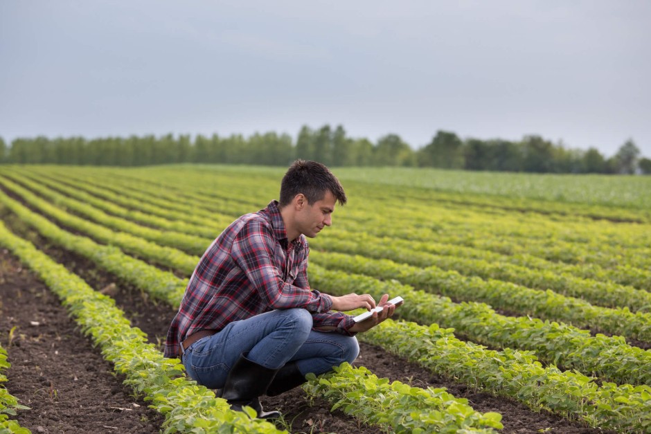GettyImages-962190590-1-1-1