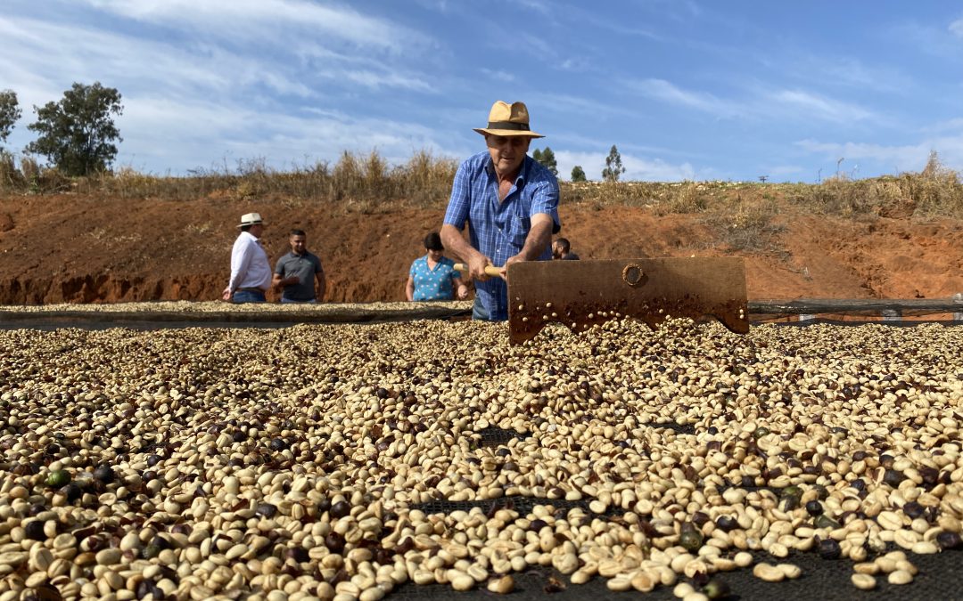 Melhor café do Brasil pode estar em Muzambinho, segundo a Illy