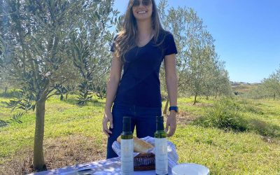 Azeite produzido em solo vulcânico é premiado em concursos na Itália e em Nova York