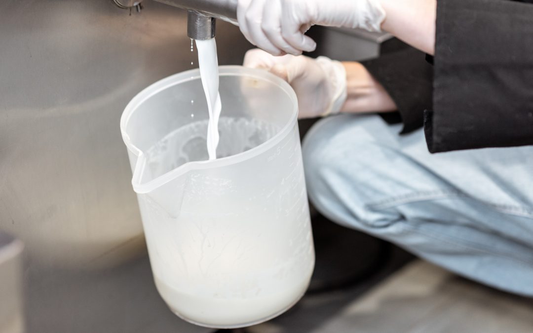 Leite: análise divulgada pelo IBGE aponta alta de 57% em 2022