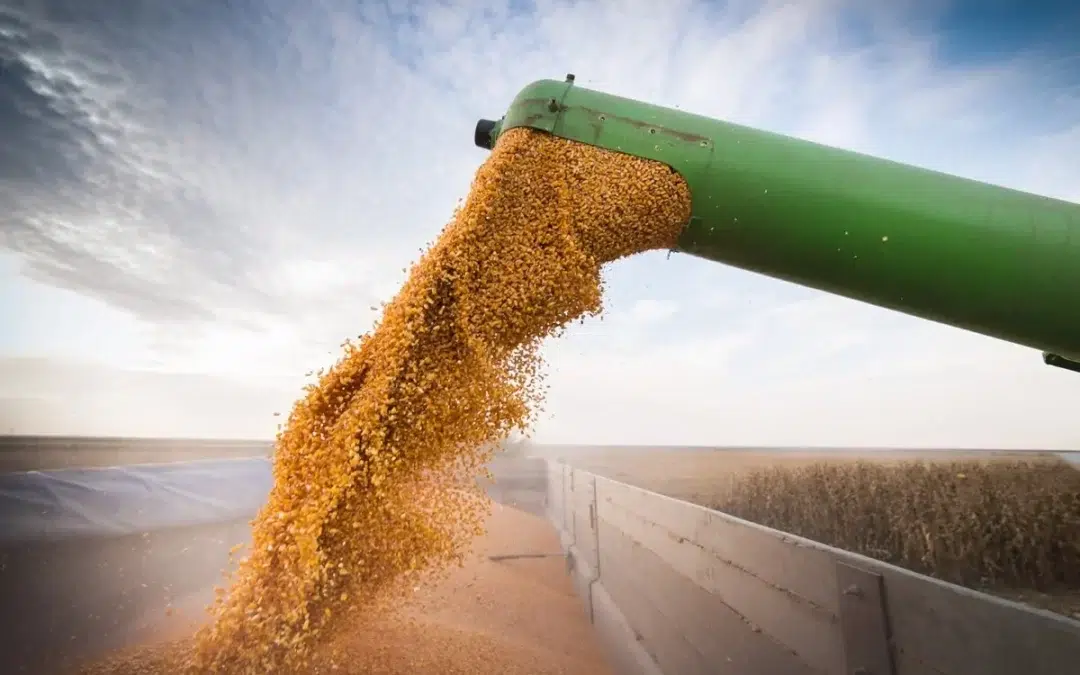 FAEMG emite comunicado aos produtores de leite