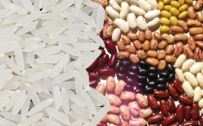 Novas cultivares de arroz e de feijão são apresentadas pela Embrapa