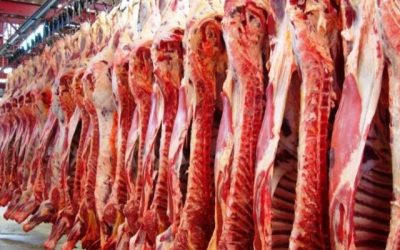 Carne bovina: Segundo semestre segue com destaque nas exportações