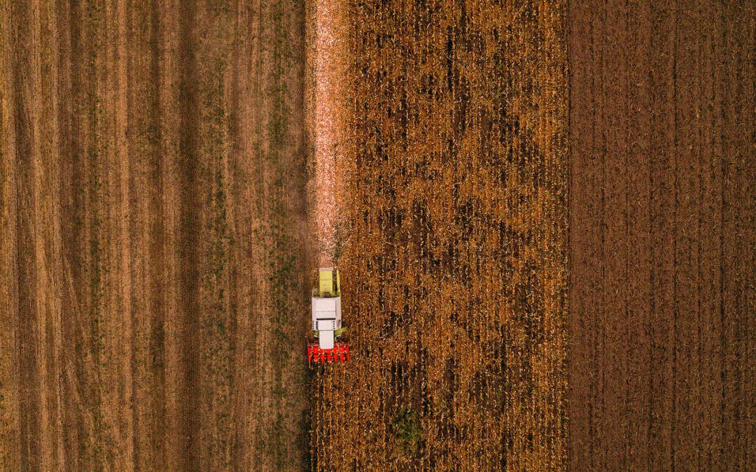 Colheita da safrinha atinge 65% a nível de Brasil