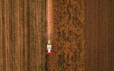 Colheita da safrinha atinge 65% a nível de Brasil