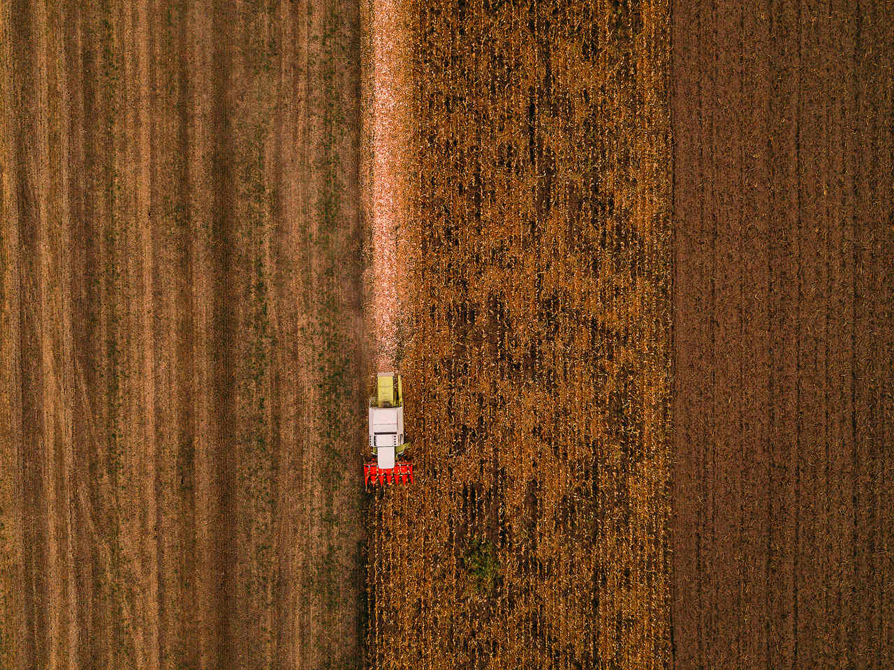 corn-maize-harvest-aerial-view-of-combine-harvest-2022-02-01-23-42-10-utc_Easy-Resize.com