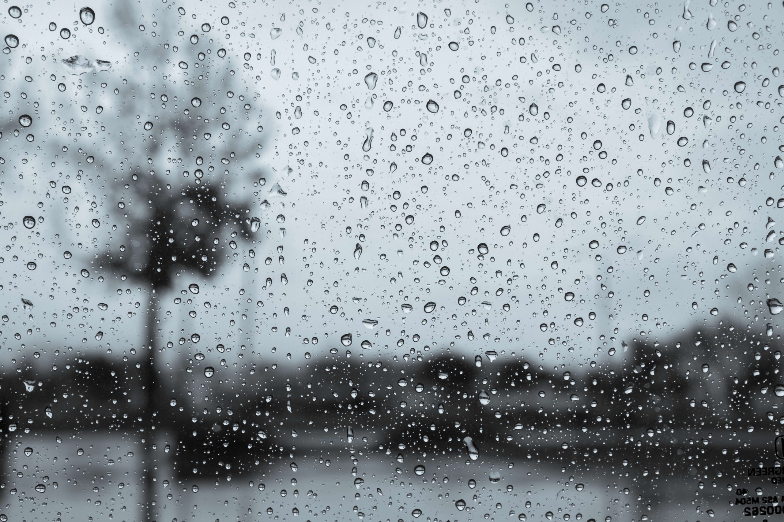 dark-and-rainy-day-2021-09-03-14-08-36-utc (1)