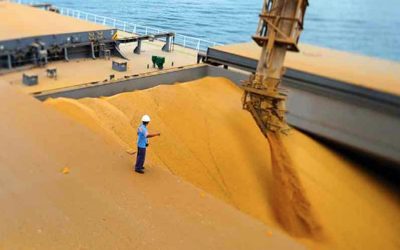 Exportações de soja brasileira em ritmo lento