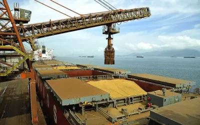 Exportações de soja do Brasil podem bater recorde em março