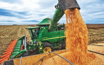 Plano Safra 2023/24 deve ser de R$ 20 bilhões