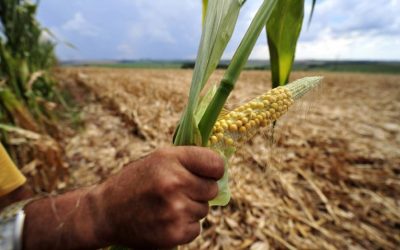 Entenda a persistência do La Niña e o seu impacto nas culturas brasileiras